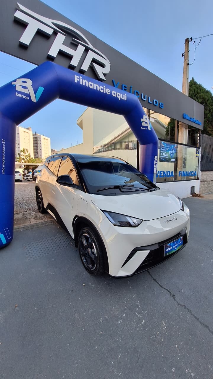 BYD Dolphin EV (Elétrico)